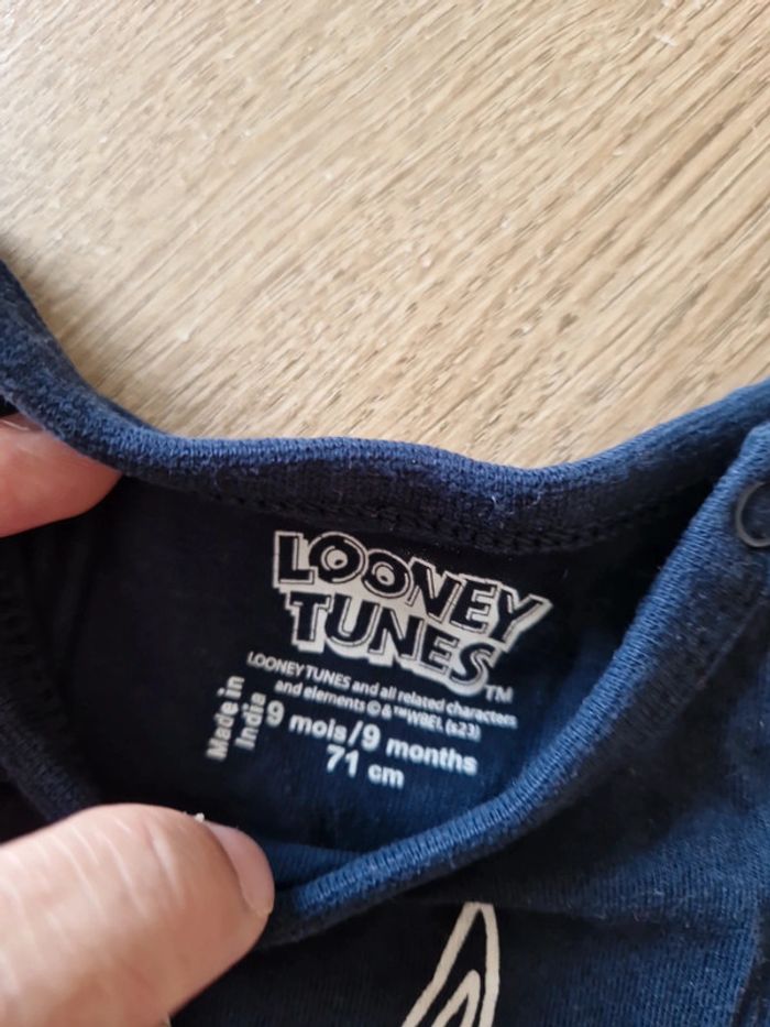 Ensemble looney tunes - photo numéro 3