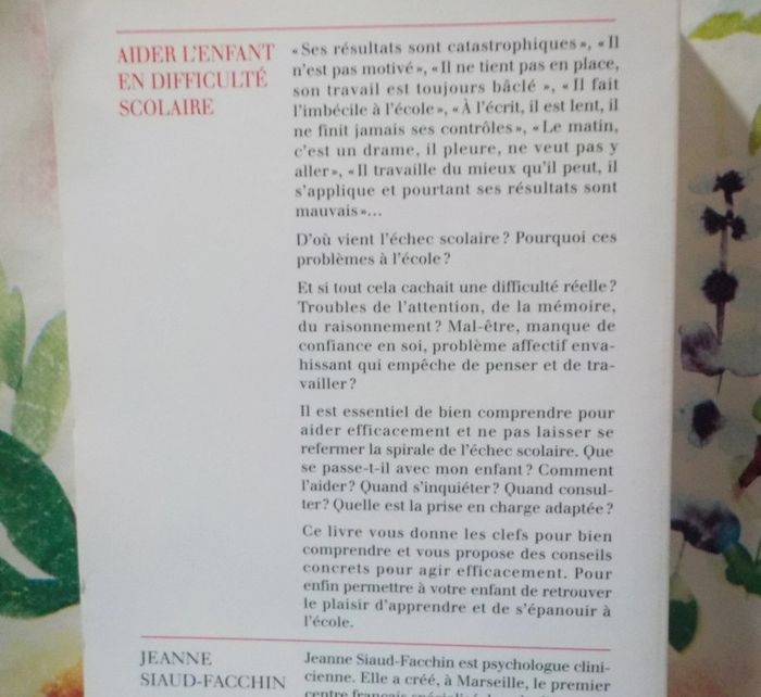 Aider l'enfant en difficulté scolaire par Jeanne Siaud-Facchin - photo numéro 2
