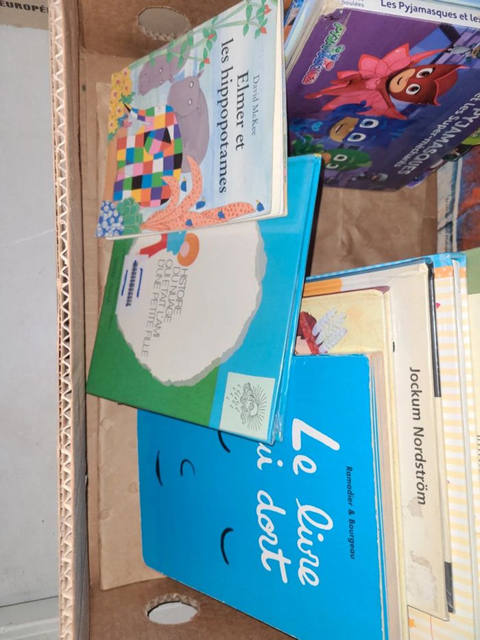 Gros lots de livre - photo numéro 4
