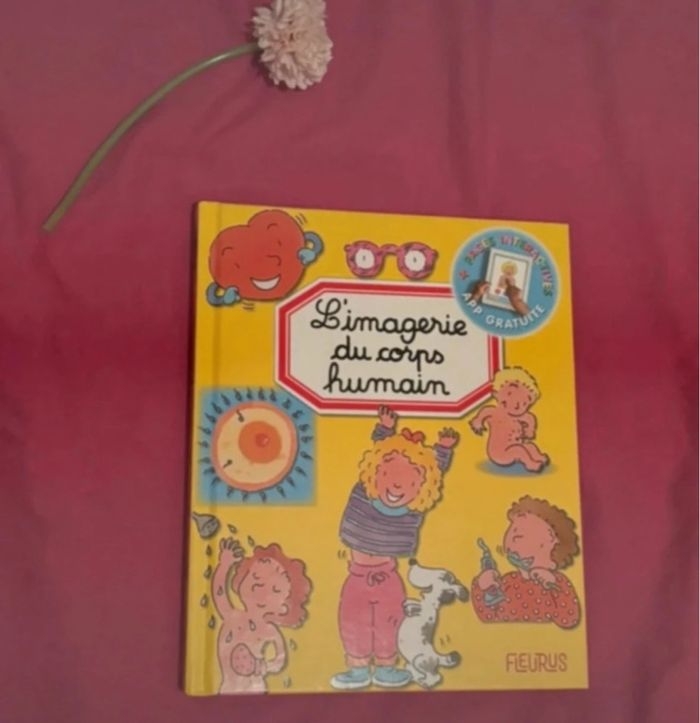 L’imagerie du corps humain