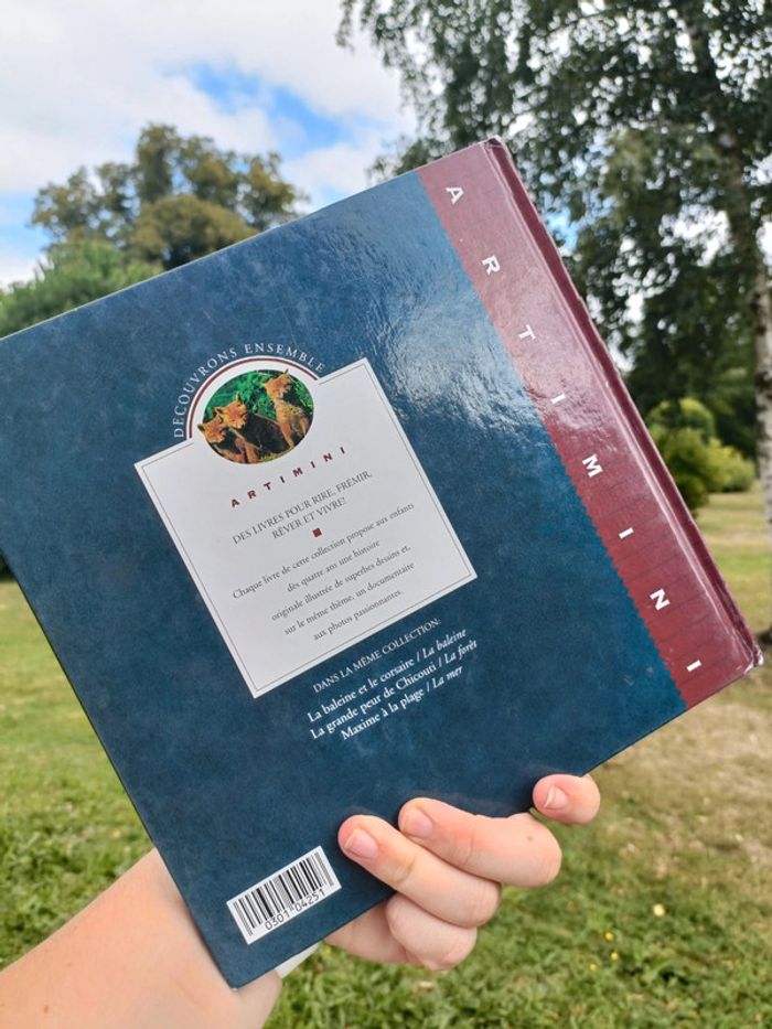 Livre au clair du fromage découvrons ensemble - photo numéro 3