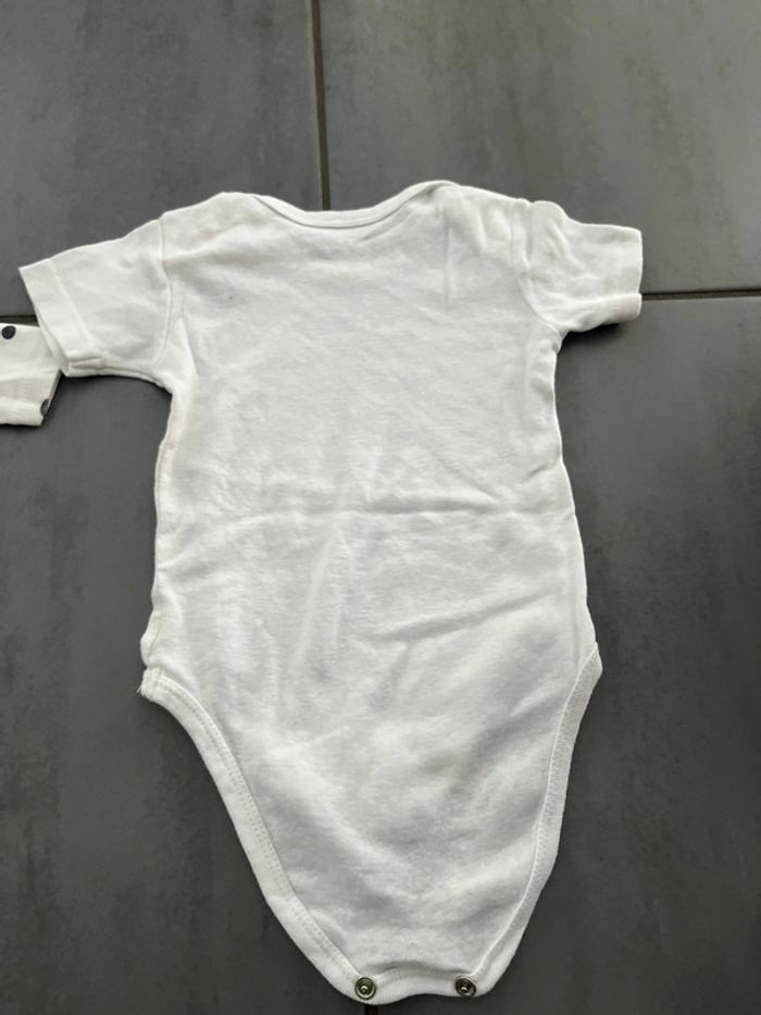 Lot body - photo numéro 5