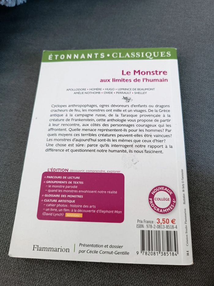 Livre le monstre aux limites de l'humain - photo numéro 2