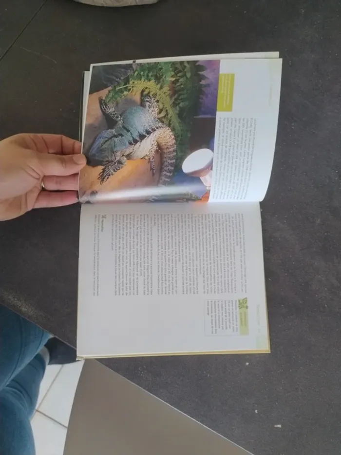 Livre dragon d'eau - photo numéro 3