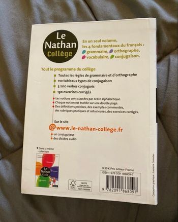 Le Nathan collège 