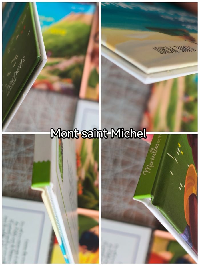 6 livres merveilles de france - photo numéro 8