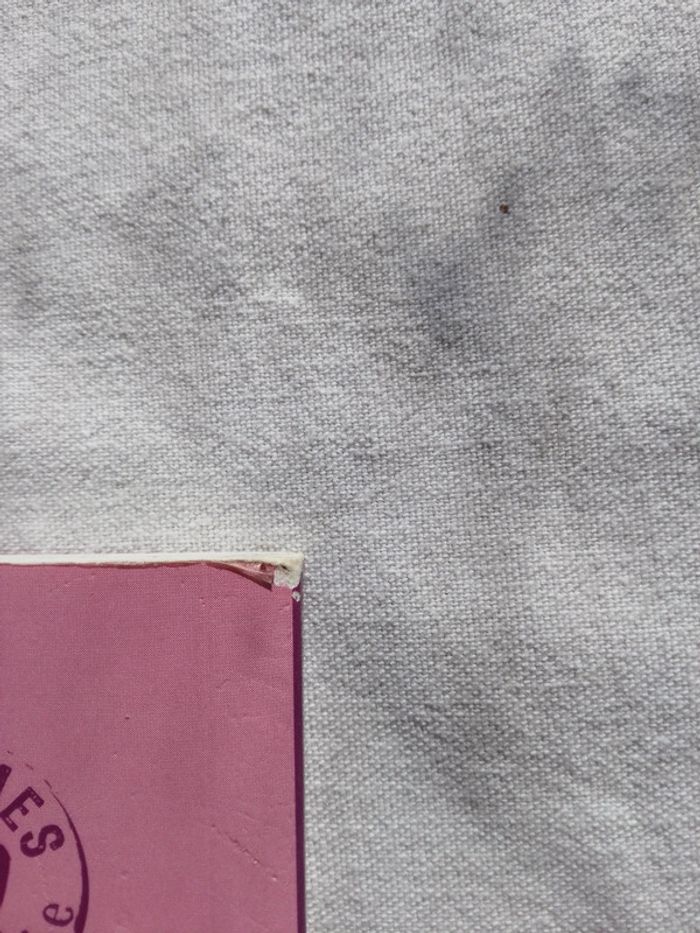 Le poney - photo numéro 3