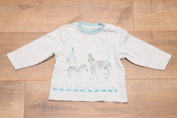 t-shirt zèbres
