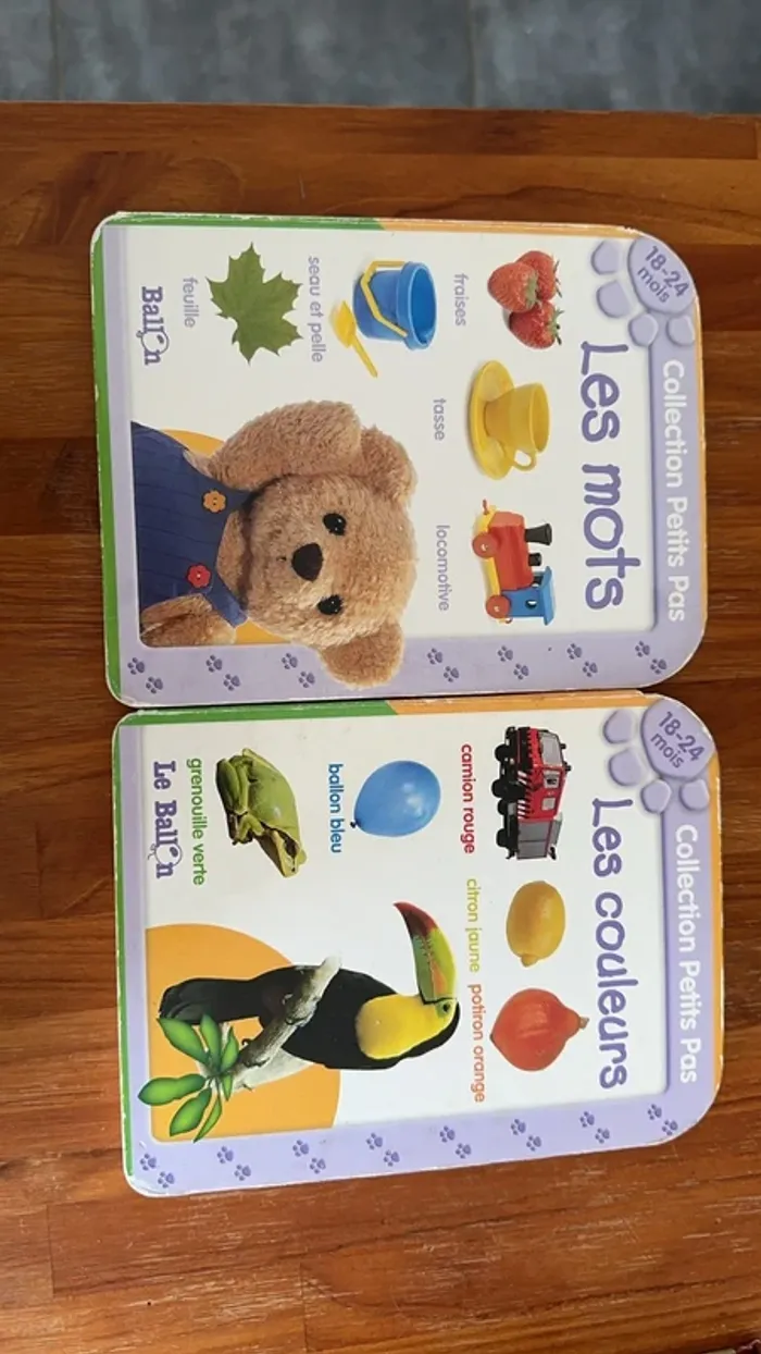 Lot de deux livres enfant