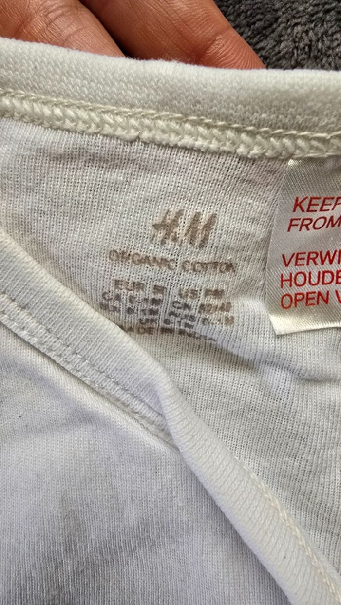 Lot de Bodys H&M - photo numéro 4
