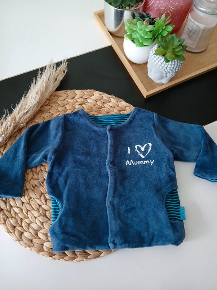 Veste polaire garçon Premaman Taille 9 Mois🌿🦁 - photo numéro 2