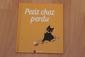 Petit chat perdu