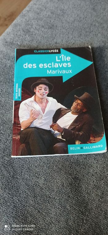 Livre l île Des esclaves