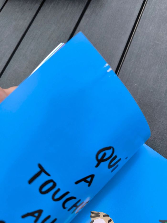 Les livres des c'est pas moi ! - photo numéro 4