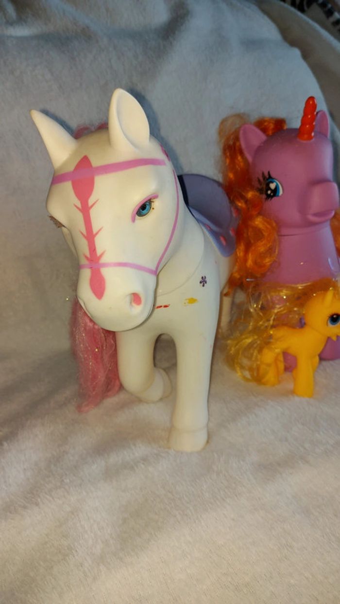 Lot Poney - photo numéro 3