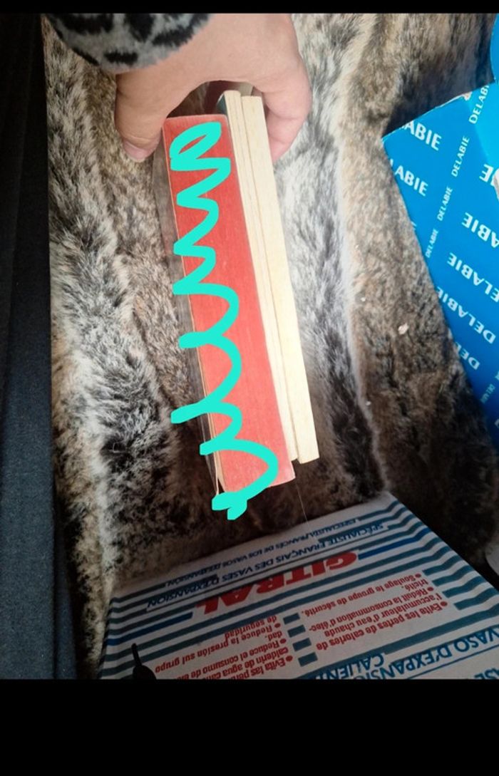 Lot de 2 grand classiques litterature - photo numéro 4