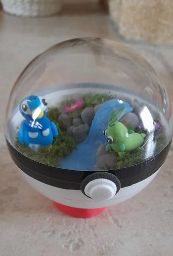 Terrarium Pokemon