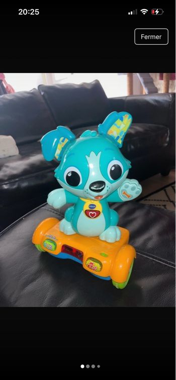 Titou chien overboard