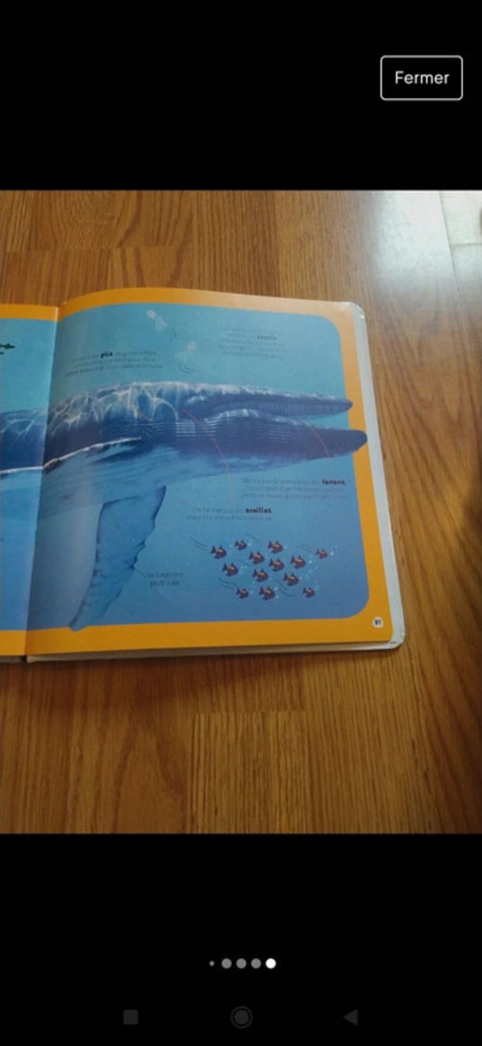 Livre Dokéo - photo numéro 5