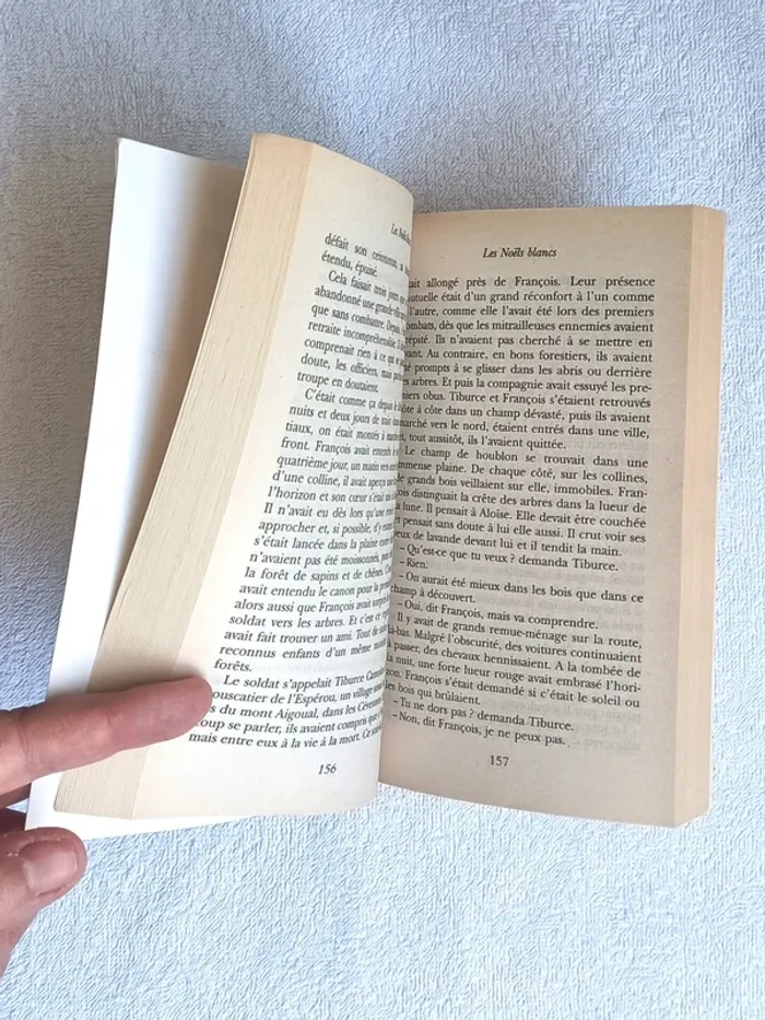2 livres Les Noëls Blancs / Les menthes sauvages - photo numéro 4