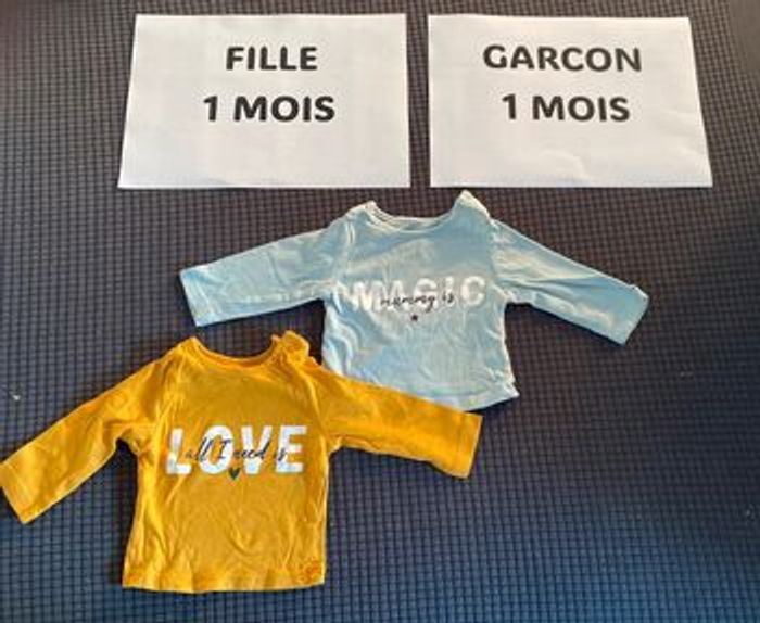 Lot T shirt ML mixte