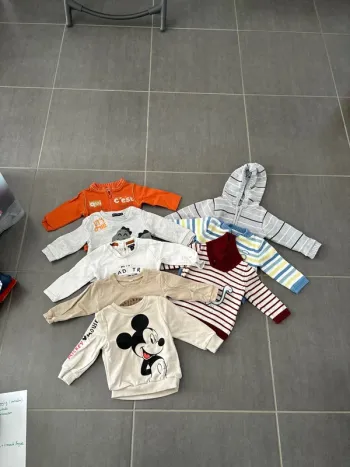 lot sweat, gilet, pull 9 mois
