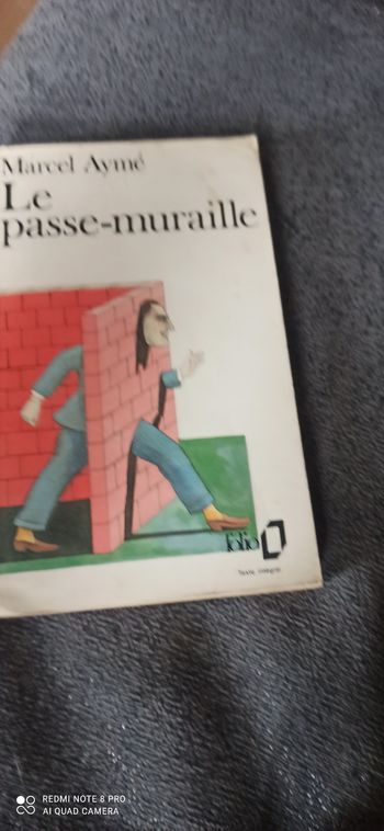 Livre le passe muraille