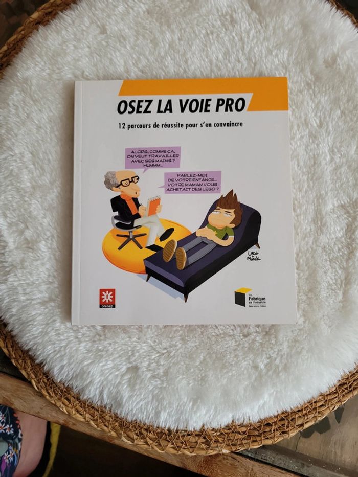 Osez la voie pro. 12 parcours de réussite
