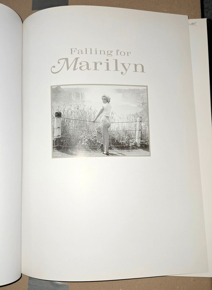 Falling for Marilyn - photo numéro 4