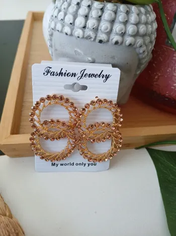 Boucles d'oreilles chics🌿🎁