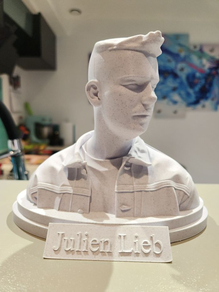 🎶 Star Académie – Julien Lieb – Buste collector – Figurine décorative - photo numéro 6