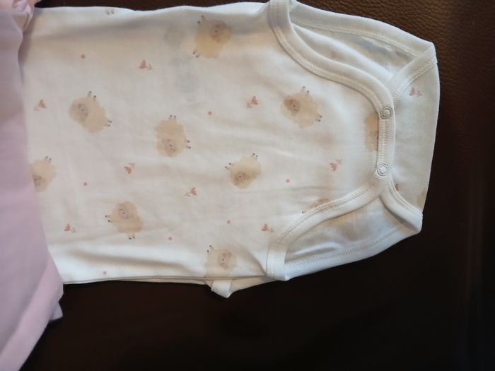 lot 3 bodies manches courtes fille tex baby 71 cm 9 mois - photo numéro 2