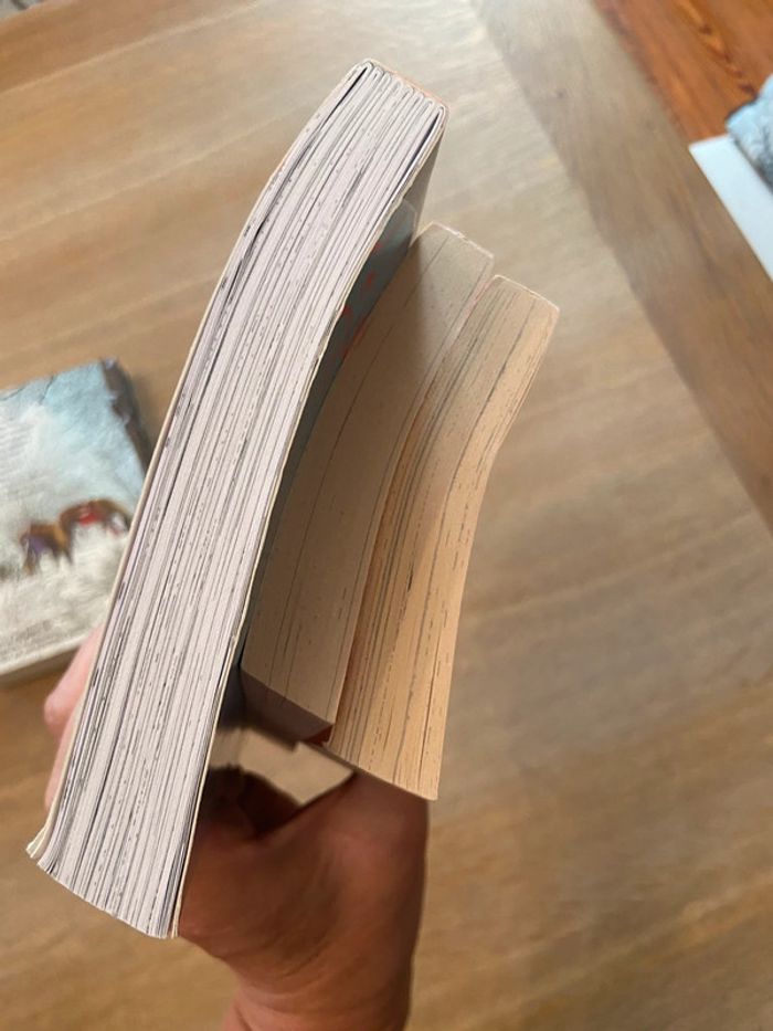 Tomes 1, 2 et 3 « Journal d’une peste » Virginie Sam & M.A. Abesdris - photo numéro 13