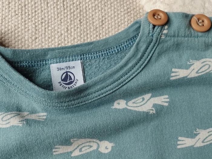 Pull oiseaux - photo numéro 4