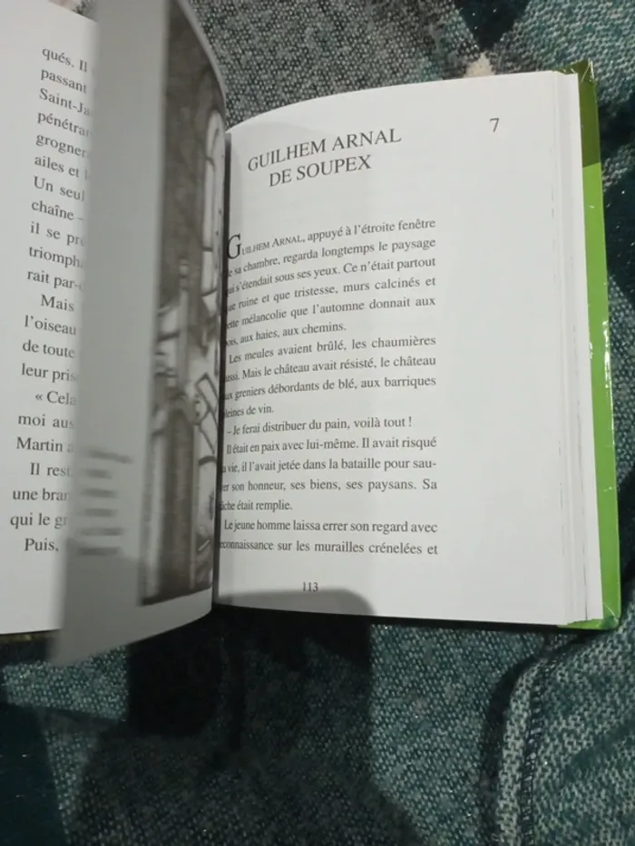 Le faucon deniche - photo numéro 3