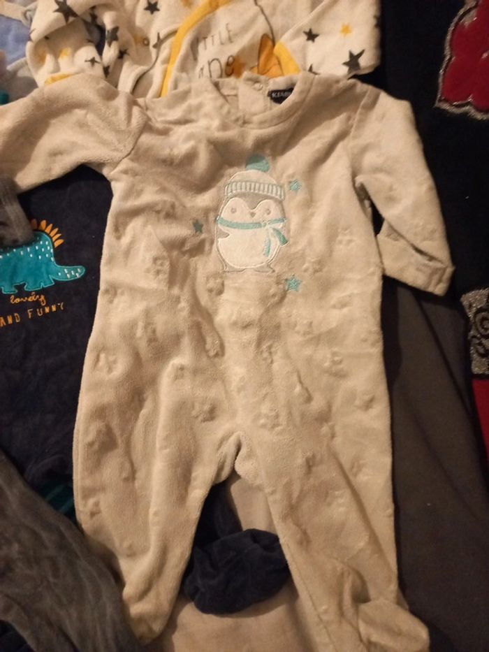 Grenouillères - photo numéro 5