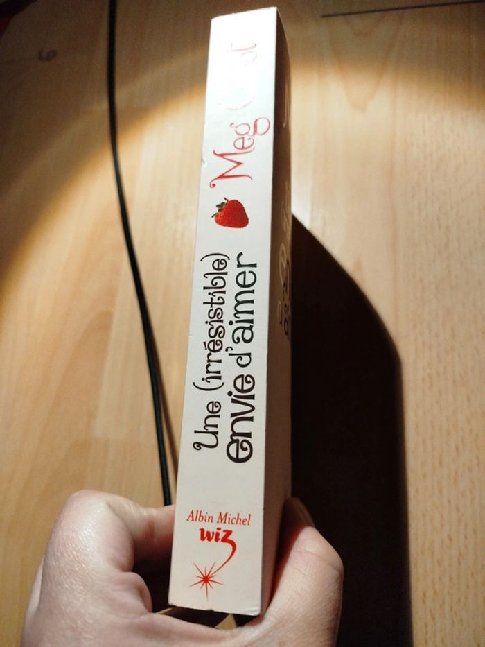 Une irrésistible envie d'aimer roman - photo numéro 2