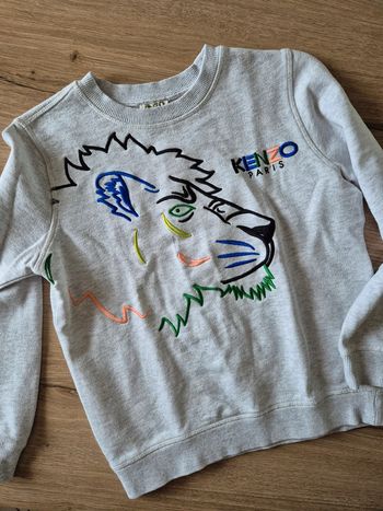 Pull 10 ans