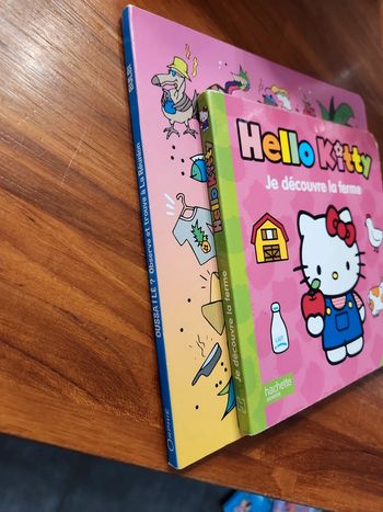 Lot de 2 livres : observe et trouve