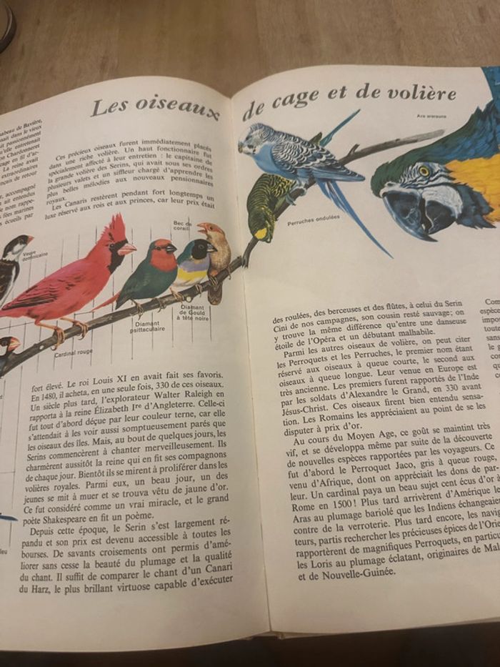 Pierre Probst Jean Dorst - Encyclopédie en couleurs Le monde des oiseaux Hachette - photo numéro 12
