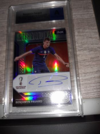 Panini