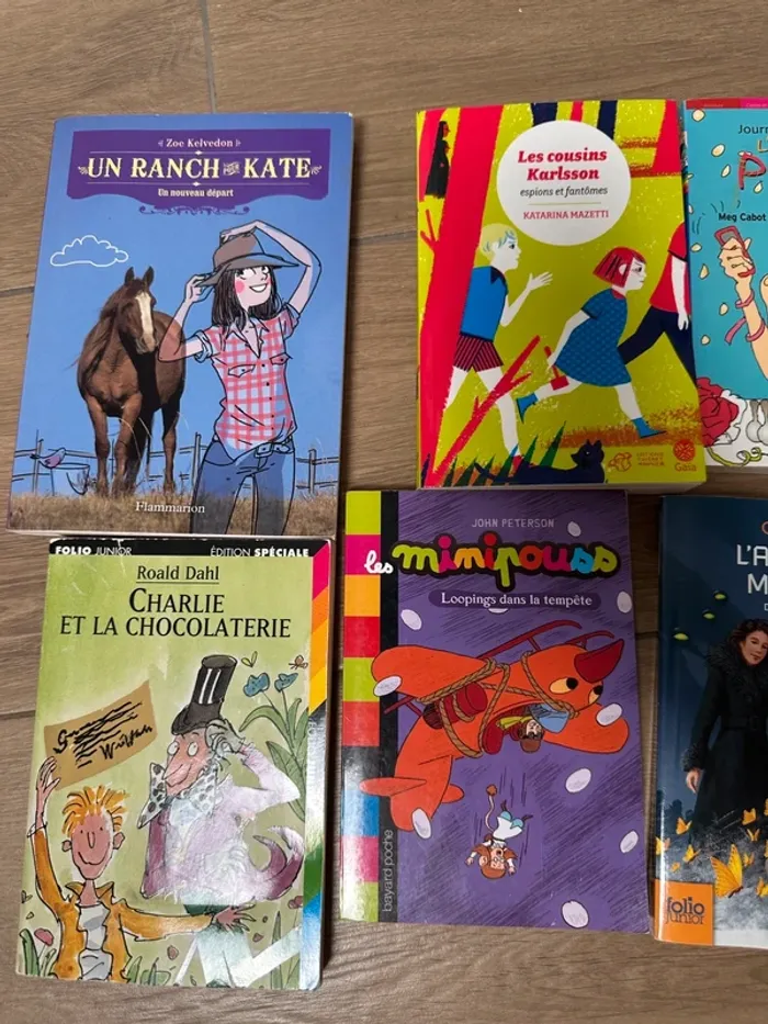 7 romans à partir de 9-10 ans - photo numéro 2