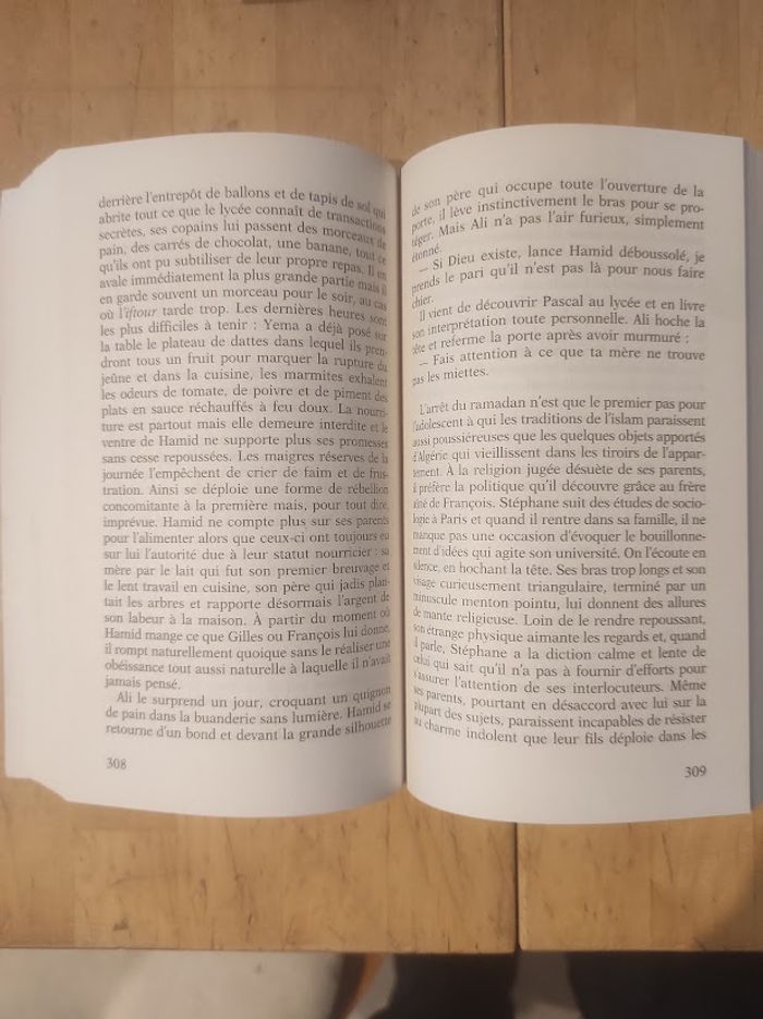 L'art de perdre Alice Zeniter J'ai Lu 2023 - photo numéro 4