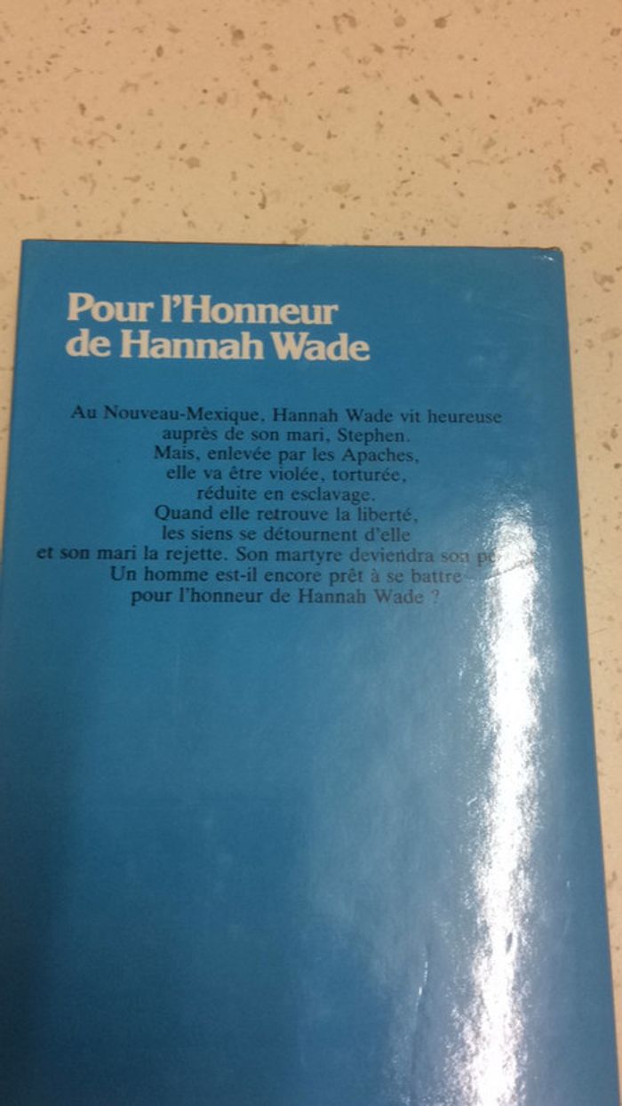 Pour l’honneur de Hannah Wade - photo numéro 2