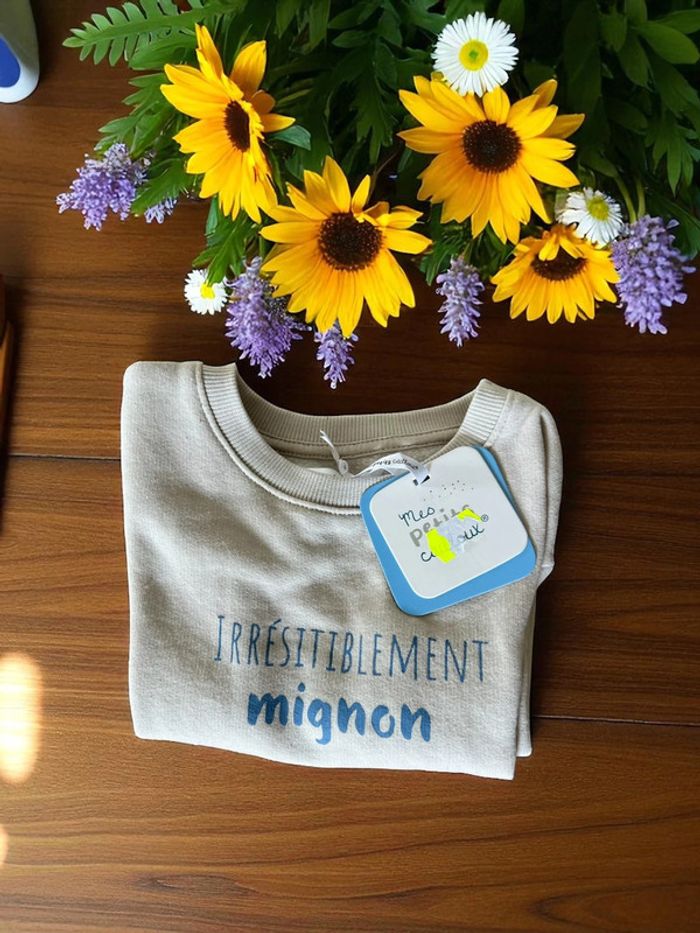 ๐งธ Pull molletonnรฉ garรงon 23M ๐งธ