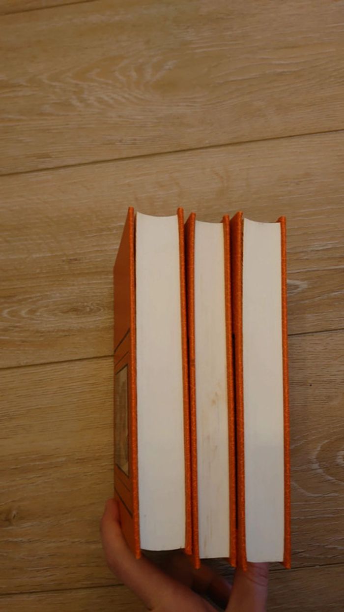 3 livres editions famot. Heureux  + L'os à moelle + Sens dessus dessous - photo numéro 6
