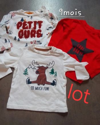 Lot 3 tee-shirt manche longue tbe
