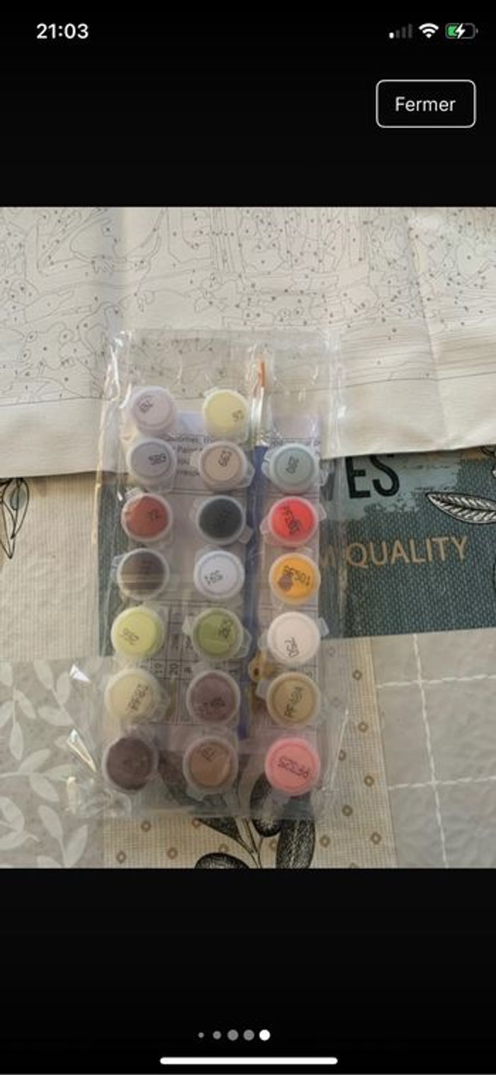 Kit complet de peinture par numéro - Neuf - photo numéro 6