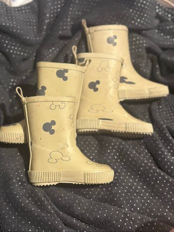 Bottes de Mickey