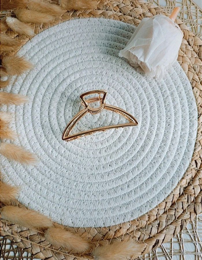 💐Jolie pince à cheveux 💐 - photo numéro 3